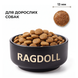 Корм для собак Ragdoll Premium з індичкою 1 кг СІ1КГ фото 2